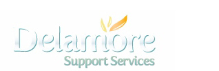 Delamore Support Services Ltd