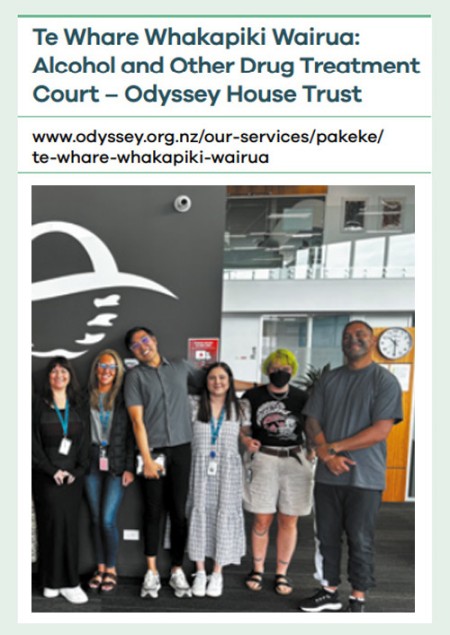 Te Whare Whakapiki Wairua